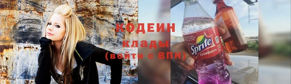 дмт Заводоуковск