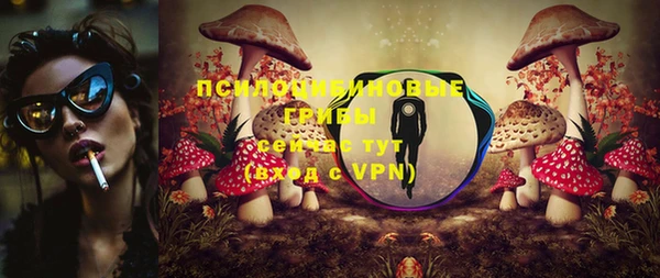 дмт Заводоуковск