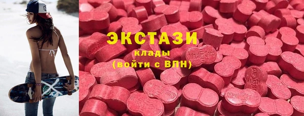 амф Ельня
